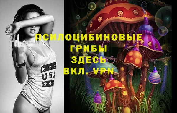 СК Алексеевка