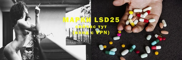ECSTASY Алзамай