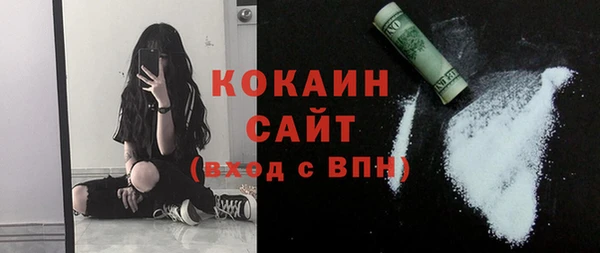 ECSTASY Алзамай