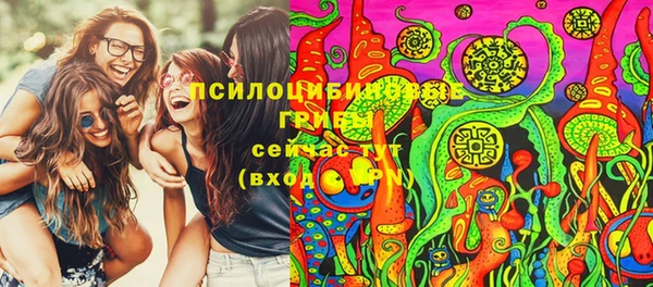 ECSTASY Алзамай