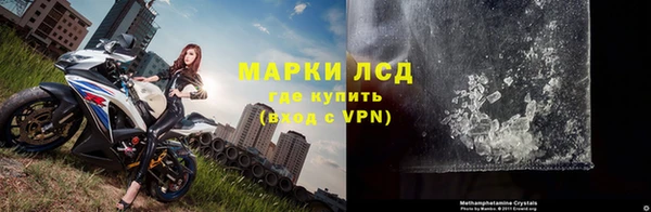 ECSTASY Алзамай
