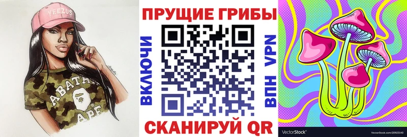 продажа наркотиков  Стародуб  Галлюциногенные грибы Psilocybe 
